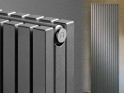 Vasco Carre Plus Vertikal Design-Heizkörper Bild 1